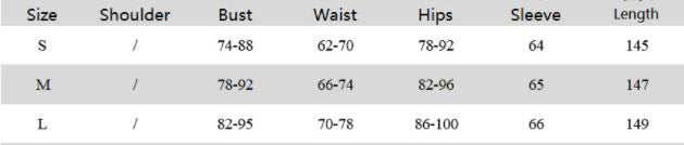 Elegant Long Woolen Dress Women