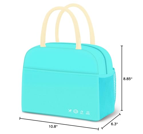 Reusable Insulated Lunch Tote Bag,Leakproof Food Handbags Case High Capacity