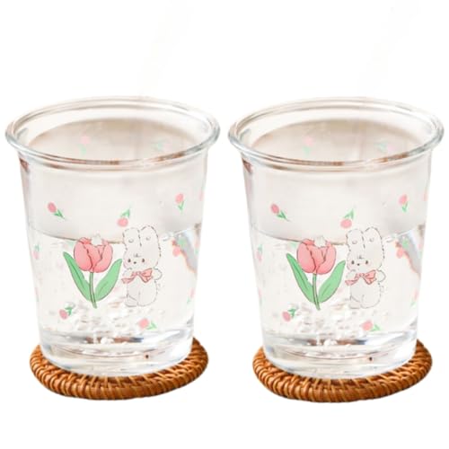 Set of 2 12 oz French Drinking Glasses Floral Juice Cup Cute Rabbit Bow Glass Cups