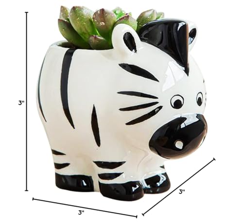 Cute Animal Ceramics Planter Small Succulent Pot Cartoon Shaped Plant Pot for Mini Plants Flower Cactus, Smooth Shiny Ceramic - Plants Not Included