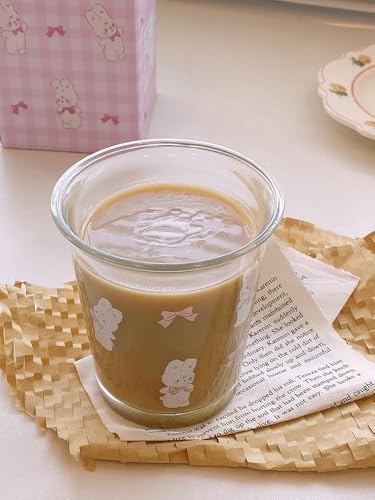 Set of 2 12 oz French Drinking Glasses Floral Juice Cup Cute Rabbit Bow Glass Cups