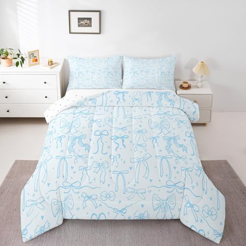 Dreamy Sweet Princess Style Quilt Set Reversible Duvet Insert, 2 Pillowcases