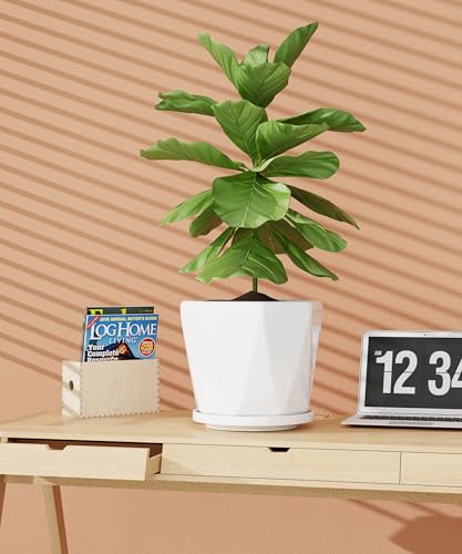 Ceramic Plant Pots Indoor, 8.6+7.1+5.5 Inch Planters with Drainage Holes and Saucers Set of 3 Large Flower Pots