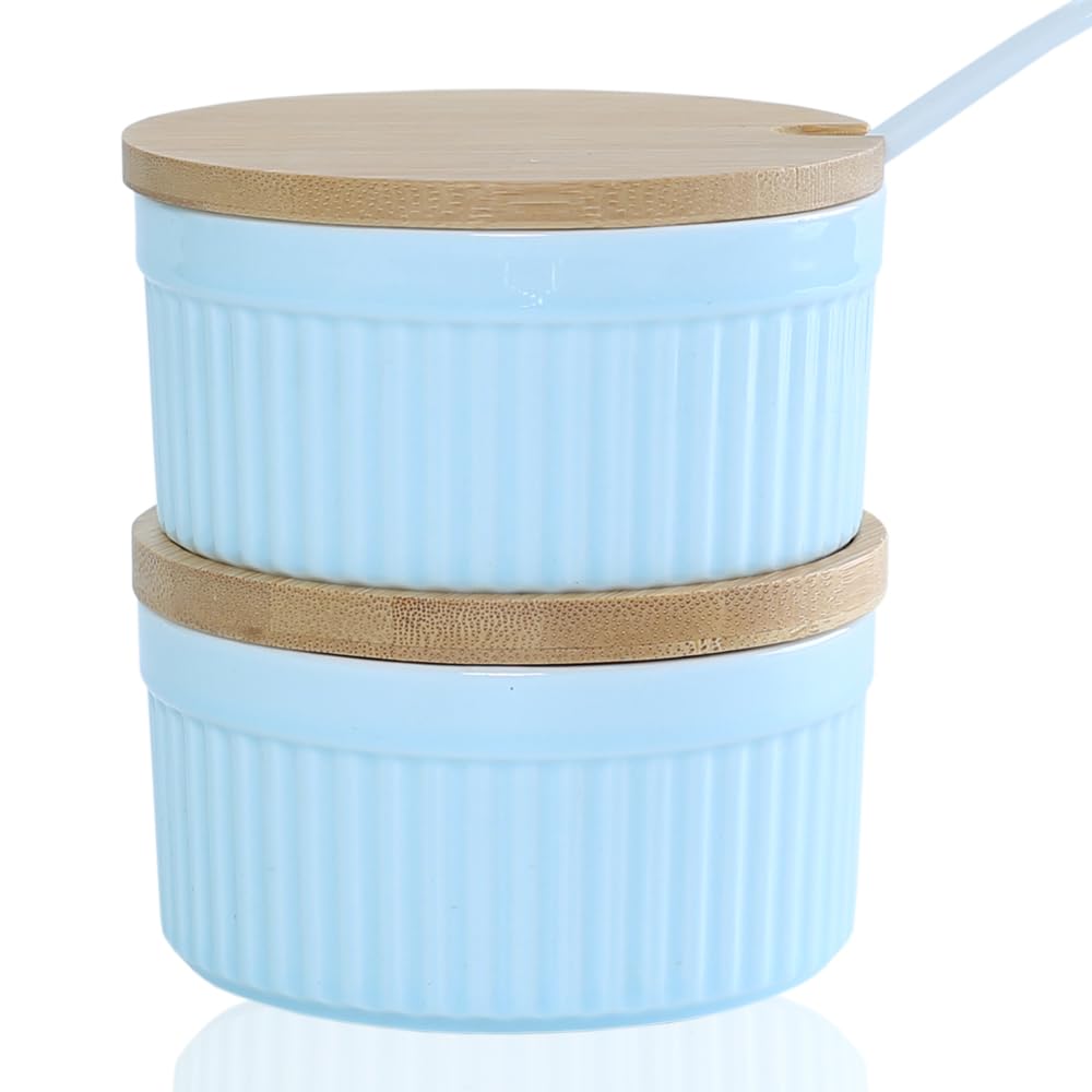 Ceramic Spice Cellars with Lid and Spoon For Kitchen