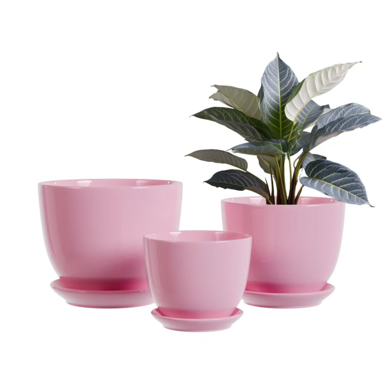 Ceramic Flower Pots,Indoor Decorative Plant Pots Set of 3-4"+5"+6" Inch Small Glazed Succulent Planters with Drainage Hole