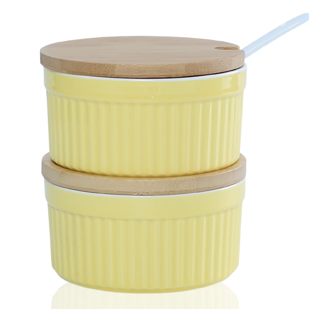 Ceramic Spice Cellars with Lid and Spoon For Kitchen