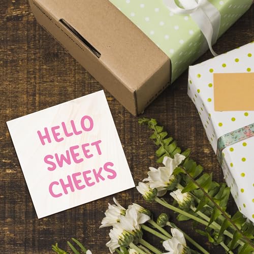 Hello Sweet Cheeks Bathroom Wood Block Signs