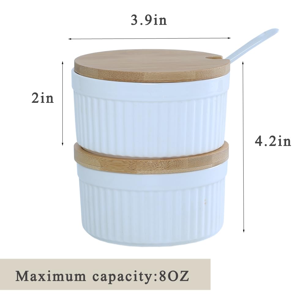 Ceramic Spice Cellars with Lid and Spoon For Kitchen