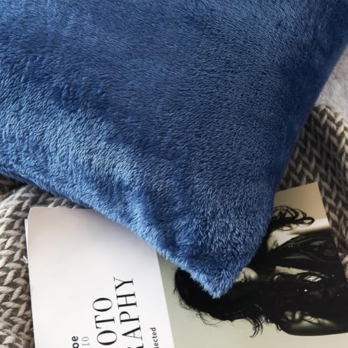 Faux Fur Pillow Cases Set of 2, Luxury Ultra Soft Fuzzy Pillowcases, Fluffy Plush Velvet Pillow Covers with Zipper, Cozy Warmth and No Shedding