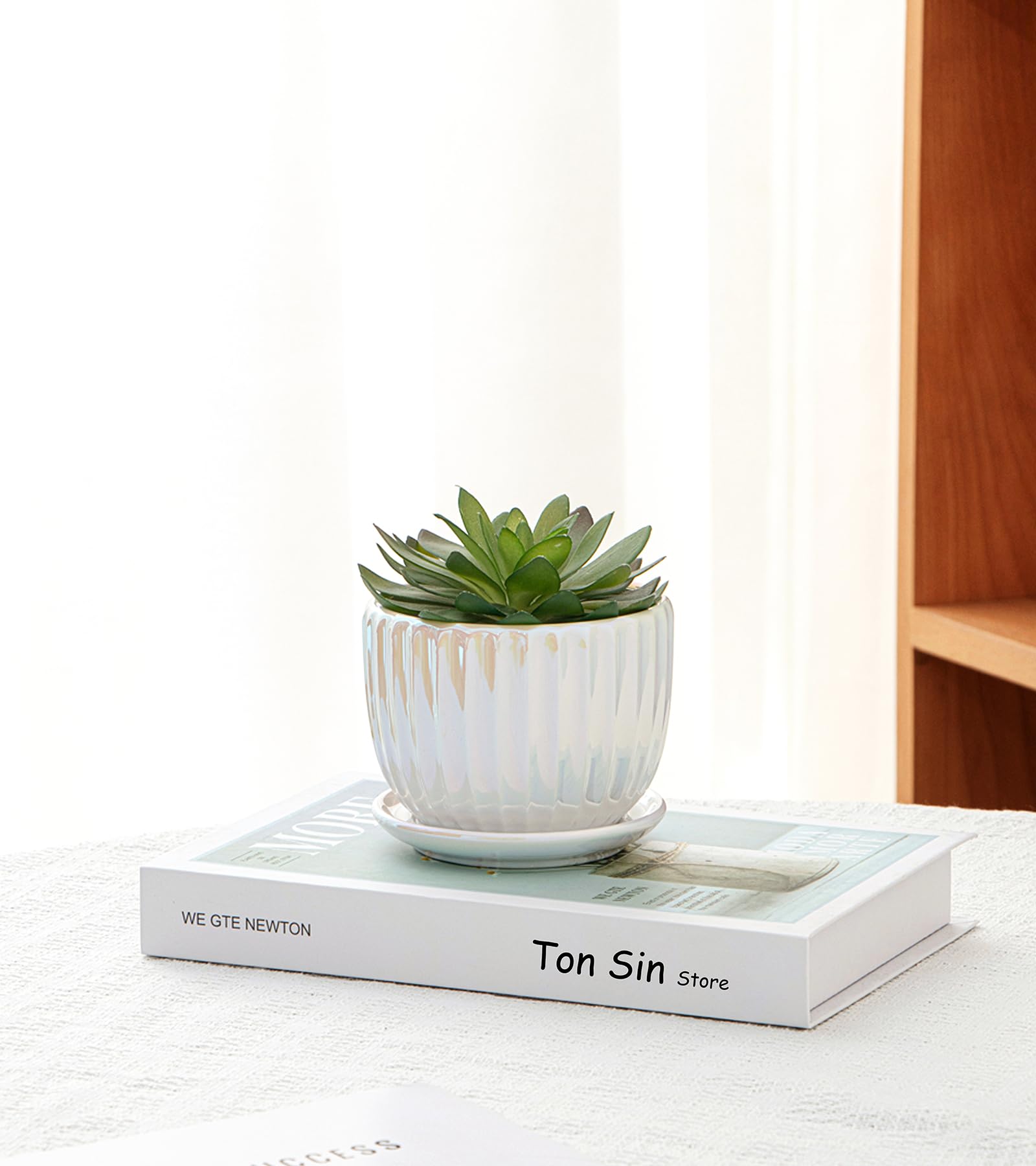 Ceramic Flower Pots, 4"+5"+6" Inch Small Glazed Succulent Planters with Drainage Hole, Modern Indoor Decorative Plant Pots Set of 3,Garden Pots with Saucer