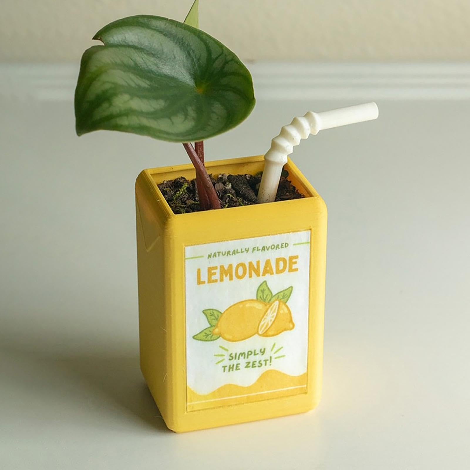 Juice Box Vase - Cute Planter Novel Design