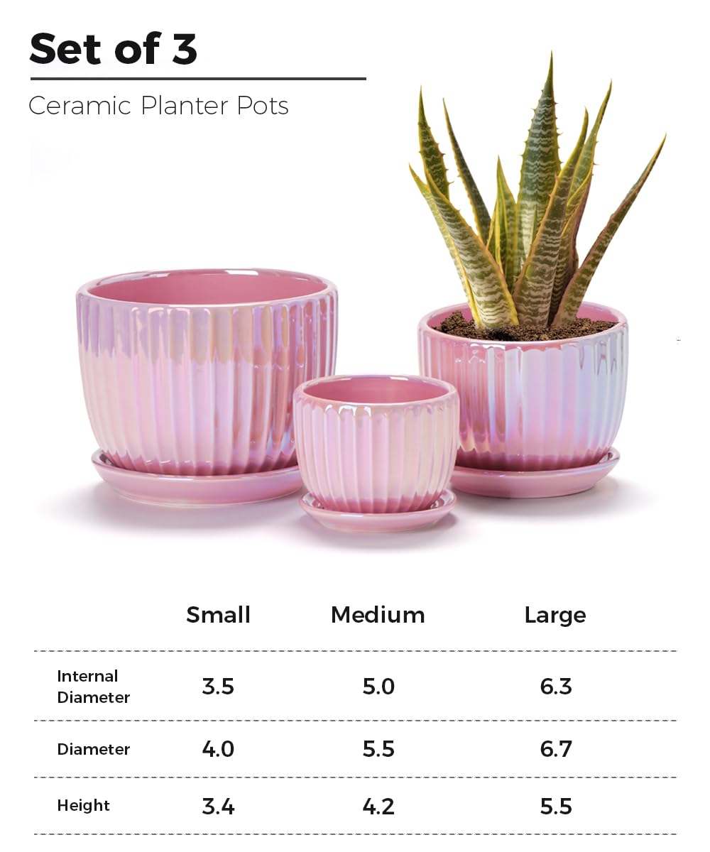 Ceramic Flower Pots, 4"+5"+6" Inch Small Glazed Succulent Planters with Drainage Hole, Modern Indoor Decorative Plant Pots Set of 3,Garden Pots with Saucer