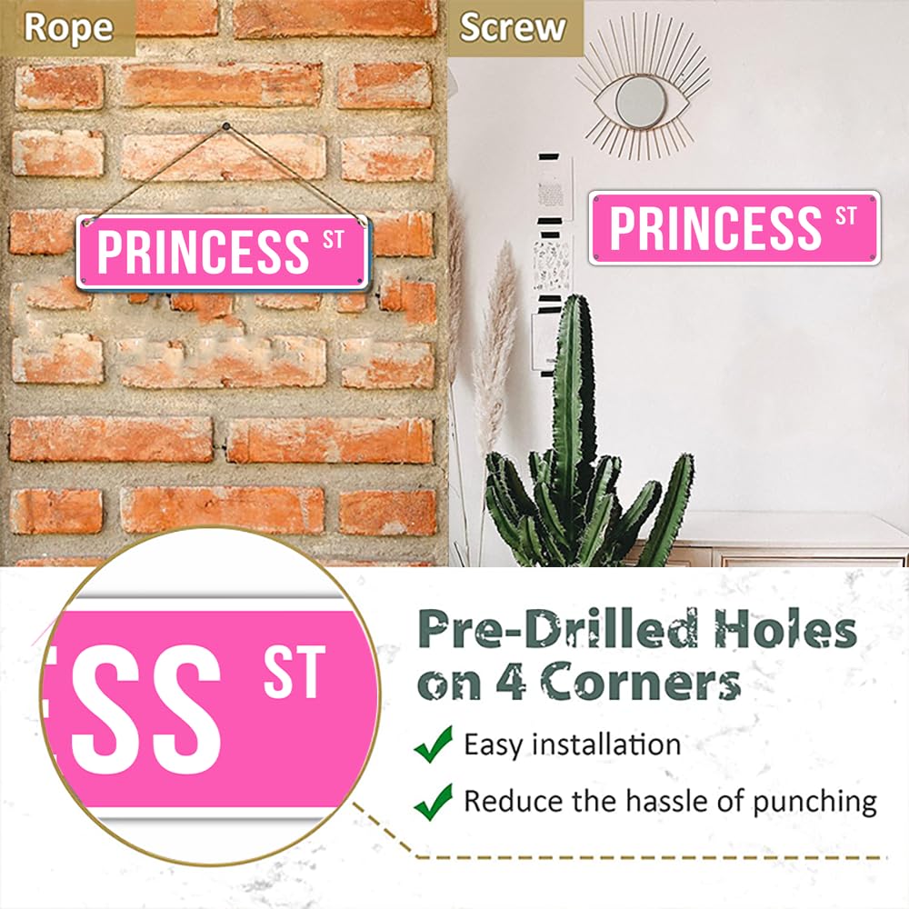 Retro Pink Metal Sign â€?Bold Decor for Home, Bar & Dorm (16x4)