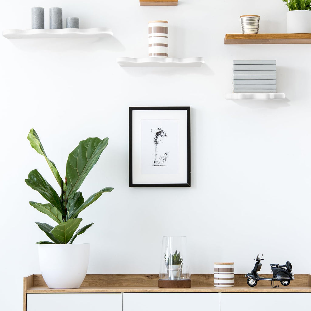 Set of 3 Wavy Cloud Floating Shelves â€?Funky Kawaii Danish Wall Decor for Bedroom & Bathroom (Pink, Green, Purple)