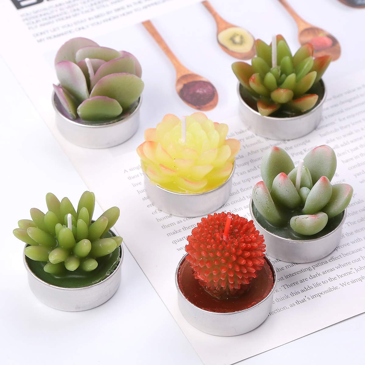 Succulent Cactus Tea Light Candles Unscented 6pcs Assorted Decor Gift Sets