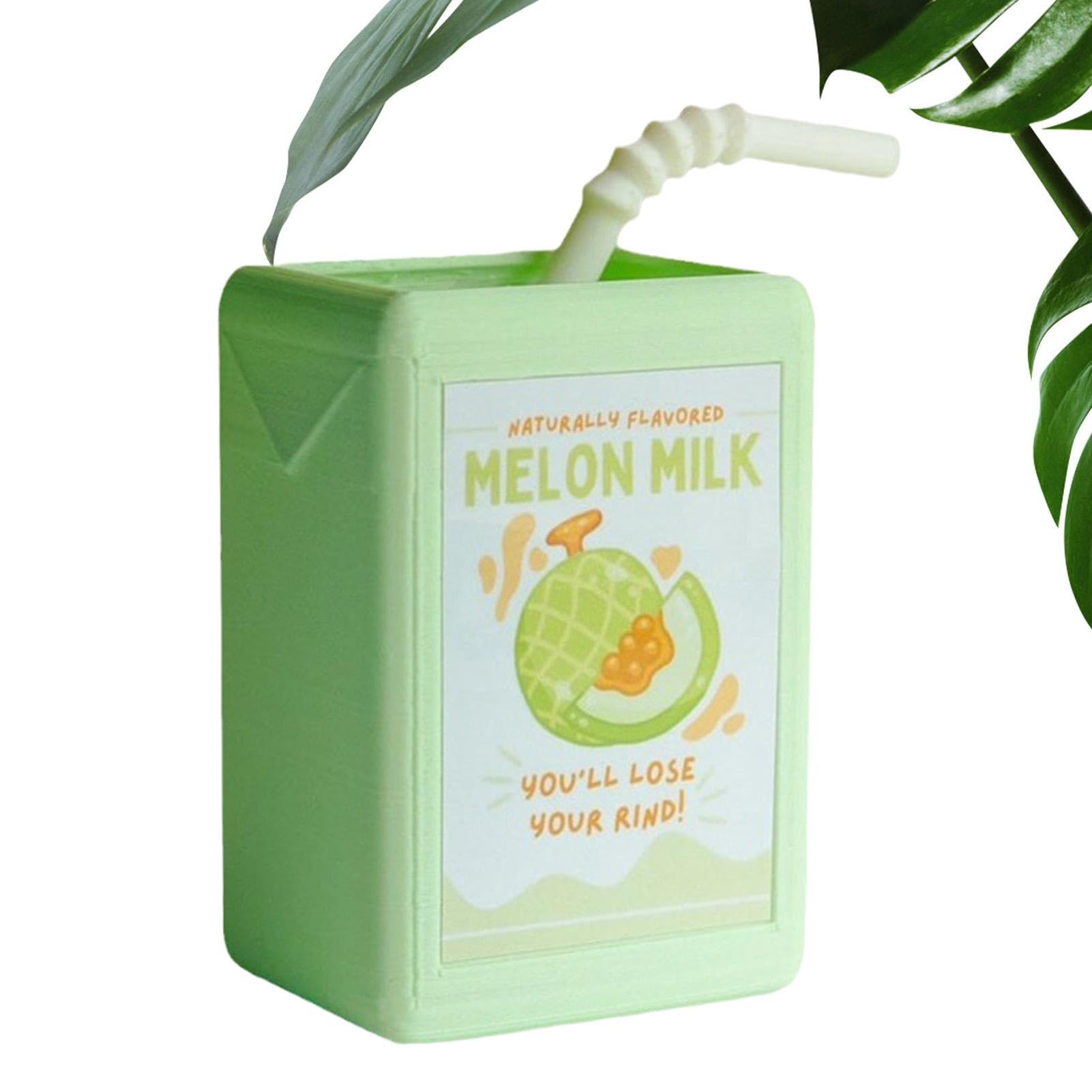 Juice Box Vase - Cute Planter Novel Design
