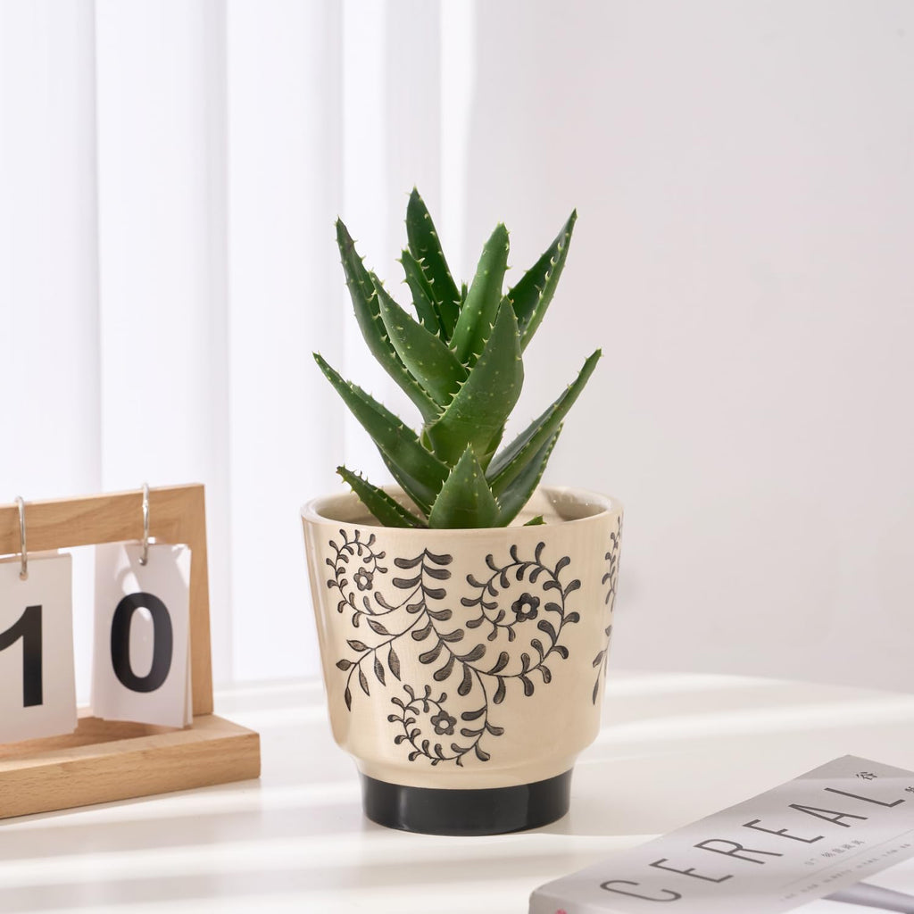 Ceramic Planters for Indoor Plants, Small Plant Pots with Drainage, Unique Decorative Cute Flower Pot Panthers Round Flowerpots 5 Inch