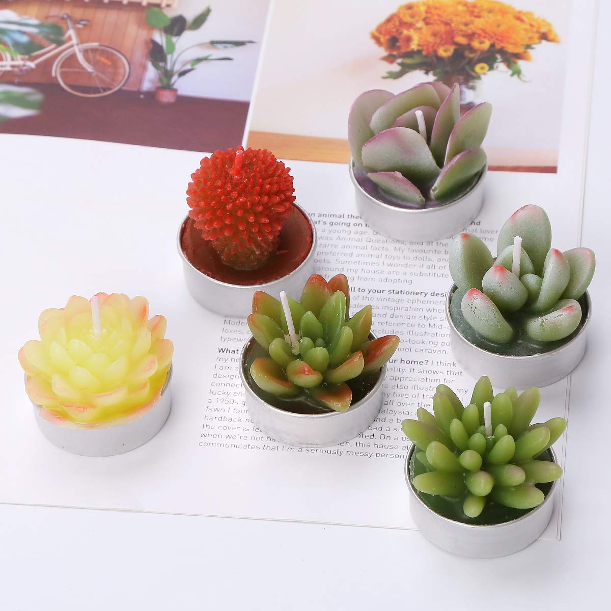 Succulent Cactus Tea Light Candles Unscented 6pcs Assorted Decor Gift Sets