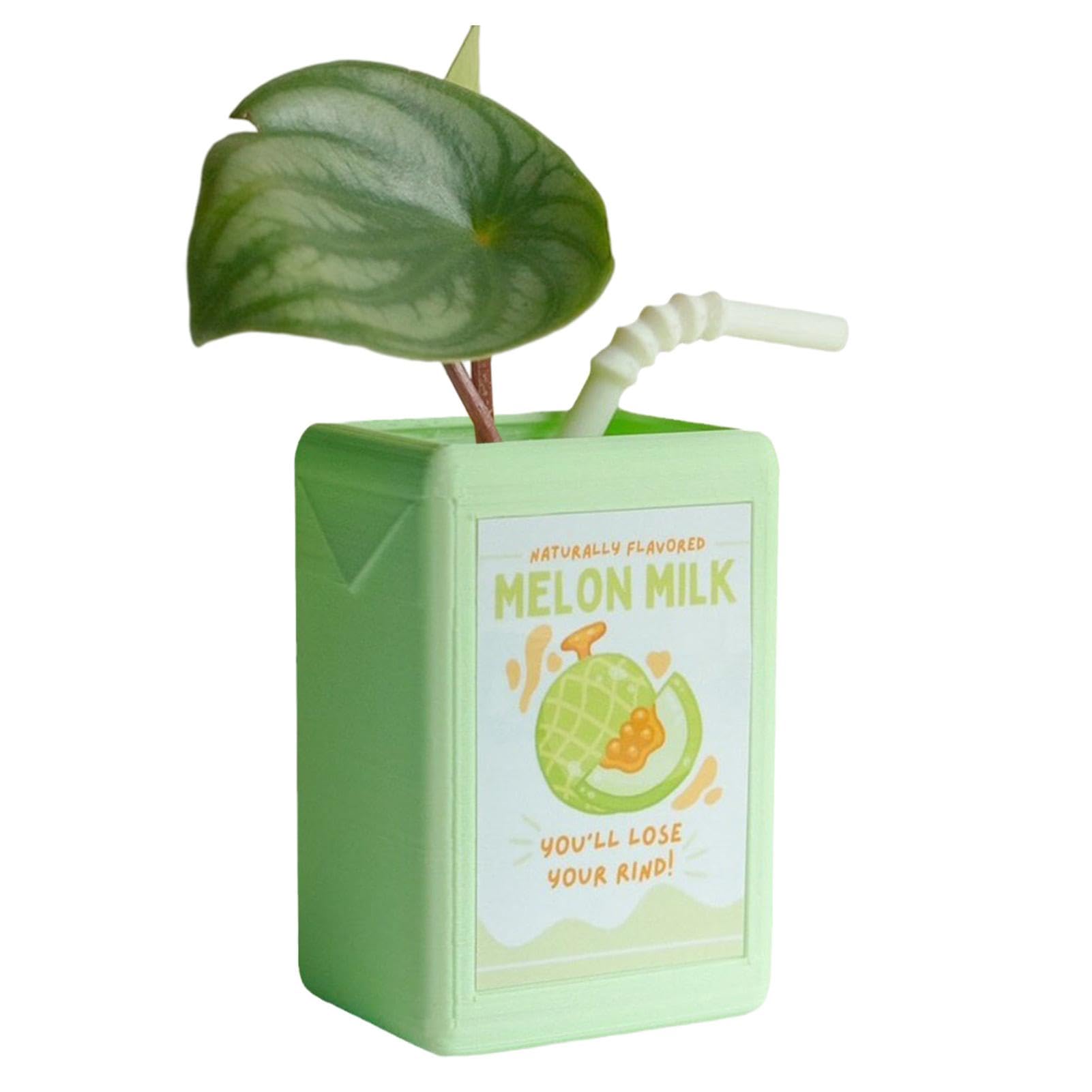 Juice Box Vase - Cute Planter Novel Design