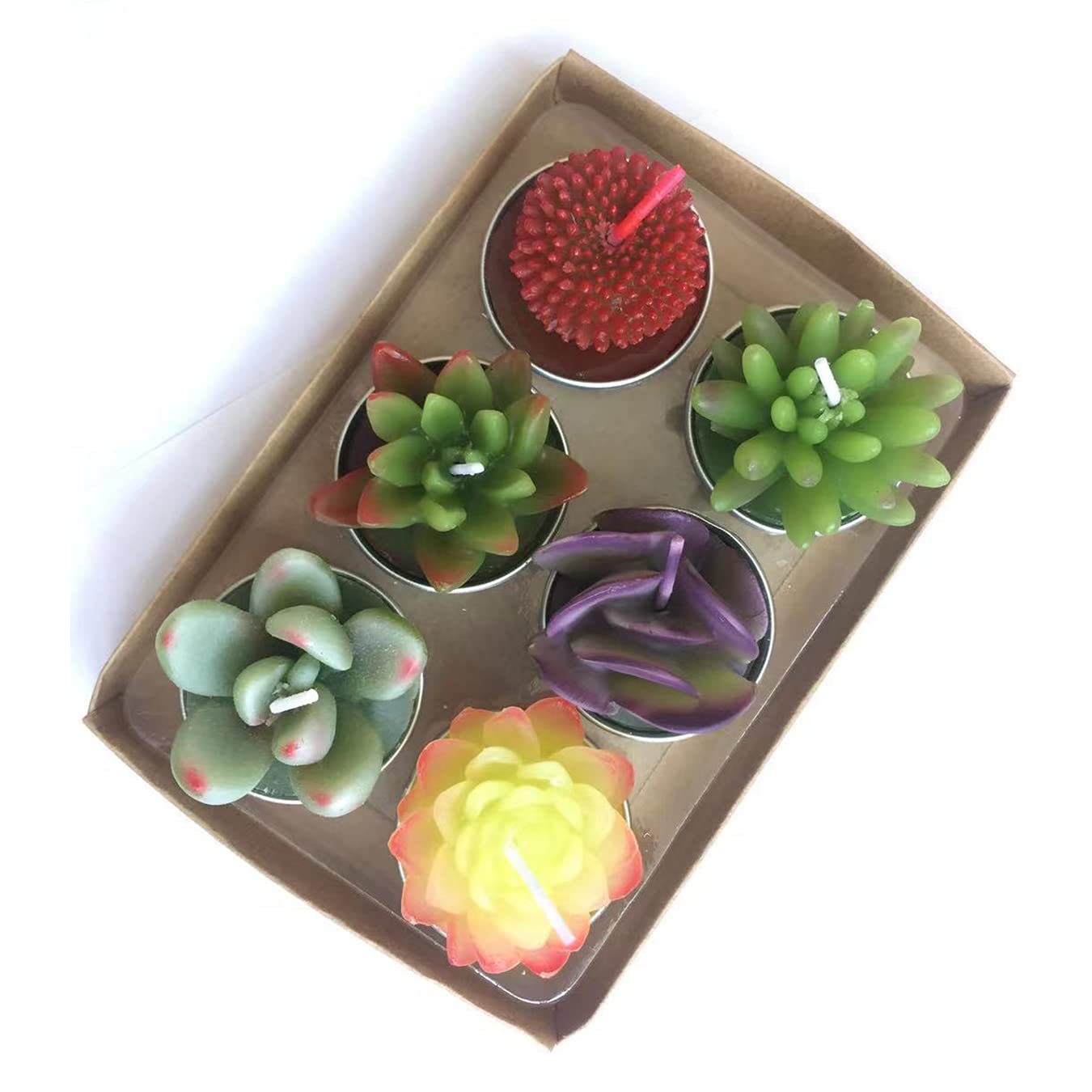 Succulent Cactus Tea Light Candles Unscented 6pcs Assorted Decor Gift Sets