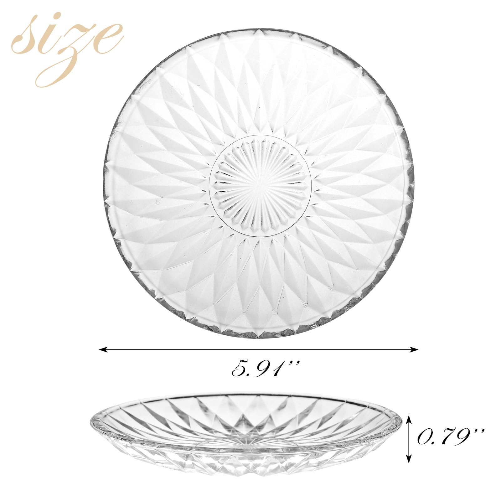 Glass Plates 4 Pack Vintage Dinnerware Set Clear Floral Textured Dinner Plates