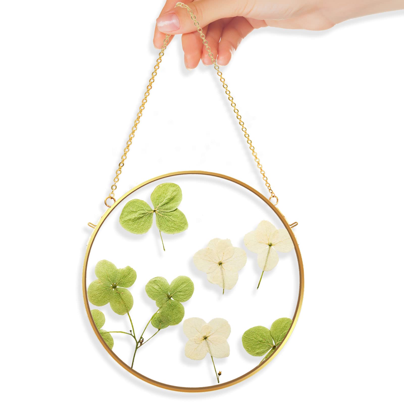 Round Brass Hanging Photo Frame, Double-side Circle Glass Frame for Pressed Flowers, Clear Circular DIY Vintage Artwork Display Picture Frame Wall Mounted Photos Frame