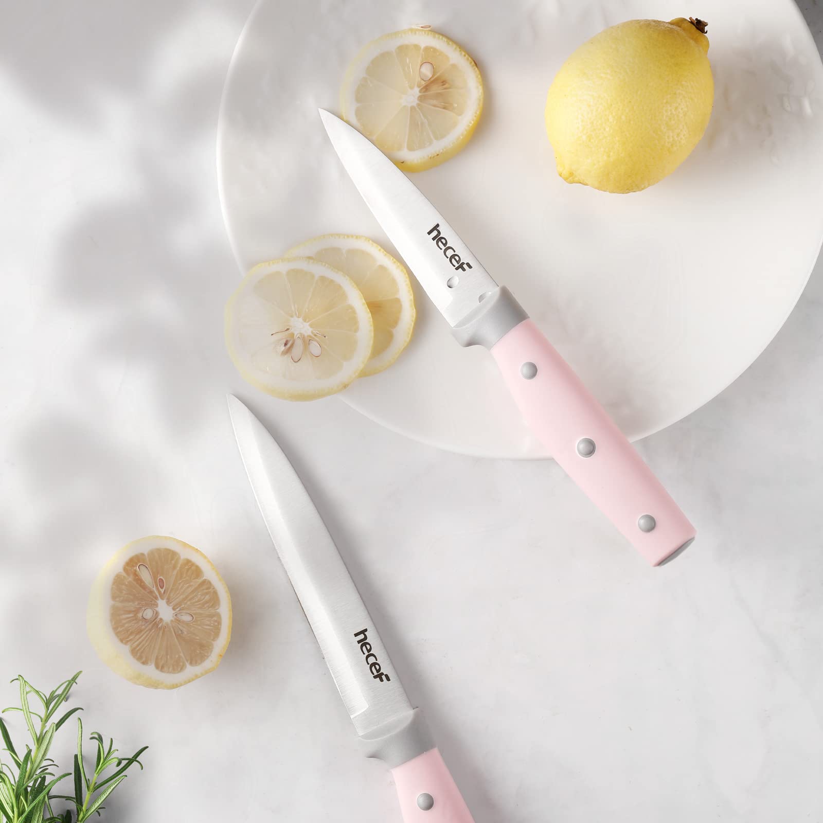 Kitchen Knife Block Set, 14 Pieces Knife Set with Wooden Block & Sharpener Steel & All-purpose Scissors, High Carbon Stainless Steel Cutlery Set