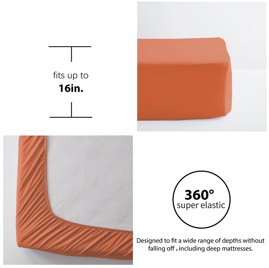 Comforter Set 7 Piece, Bed in a Bag with Sheets, All Season Ruffle Shabby Chic Bedding Sets with 1 Comforter, 2 Pillow Shams, 2 Pillowcases, 1 Flat Sheet, 1 Fitted Sheet