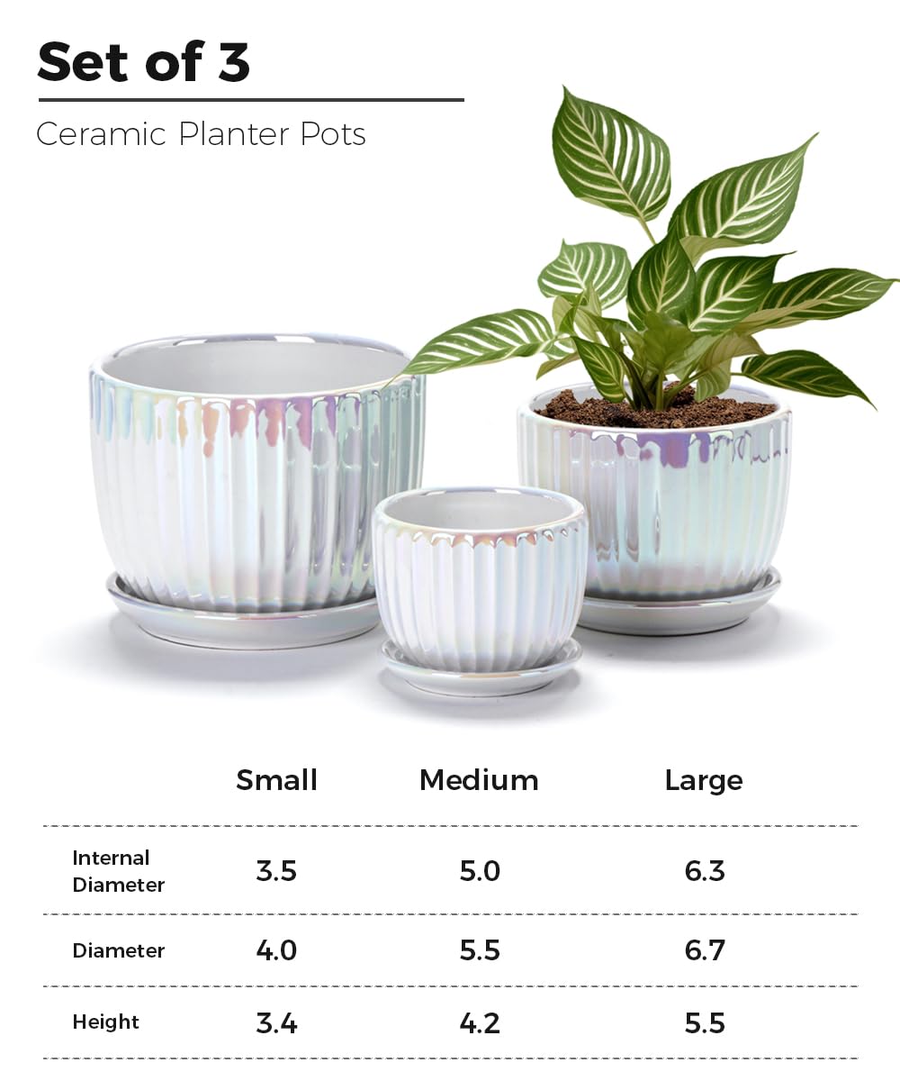 Ceramic Flower Pots, 4"+5"+6" Inch Small Glazed Succulent Planters with Drainage Hole, Modern Indoor Decorative Plant Pots Set of 3,Garden Pots with Saucer