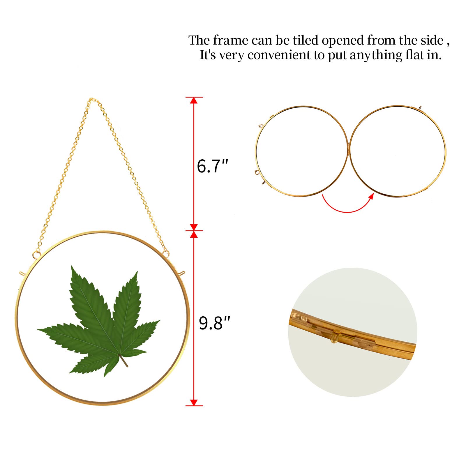 Round Brass Hanging Photo Frame, Double-side Circle Glass Frame for Pressed Flowers, Clear Circular DIY Vintage Artwork Display Picture Frame Wall Mounted Photos Frame