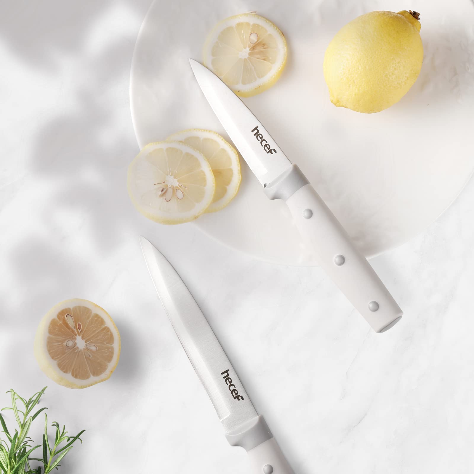 Kitchen Knife Block Set, 14 Pieces Knife Set with Wooden Block & Sharpener Steel & All-purpose Scissors, High Carbon Stainless Steel Cutlery Set