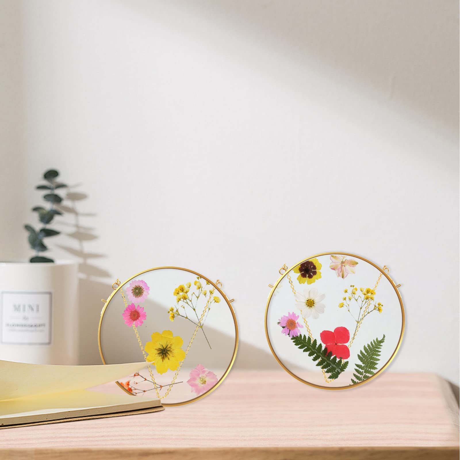 Round Brass Hanging Photo Frame, Double-side Circle Glass Frame for Pressed Flowers, Clear Circular DIY Vintage Artwork Display Picture Frame Wall Mounted Photos Frame