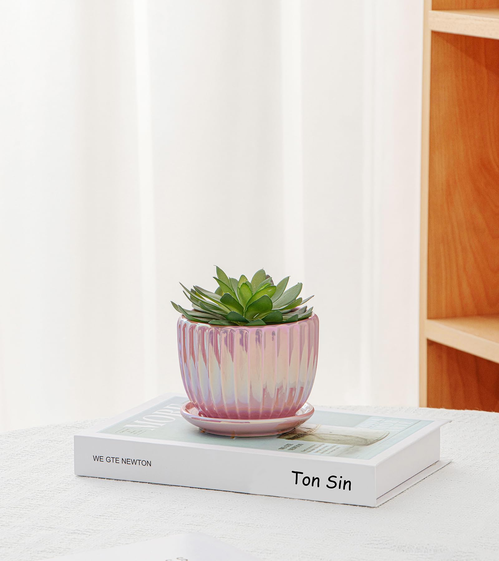 Ceramic Flower Pots, 4"+5"+6" Inch Small Glazed Succulent Planters with Drainage Hole, Modern Indoor Decorative Plant Pots Set of 3,Garden Pots with Saucer