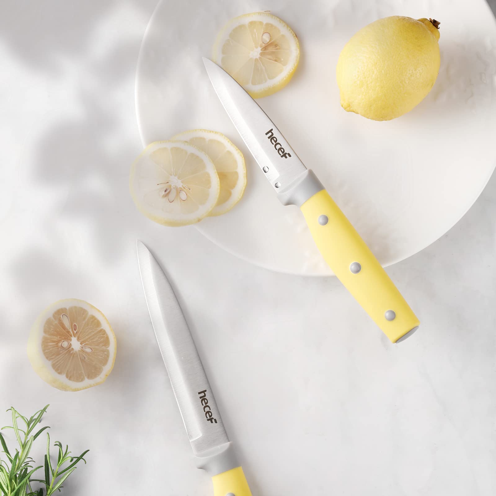 Kitchen Knife Block Set, 14 Pieces Knife Set with Wooden Block & Sharpener Steel & All-purpose Scissors, High Carbon Stainless Steel Cutlery Set