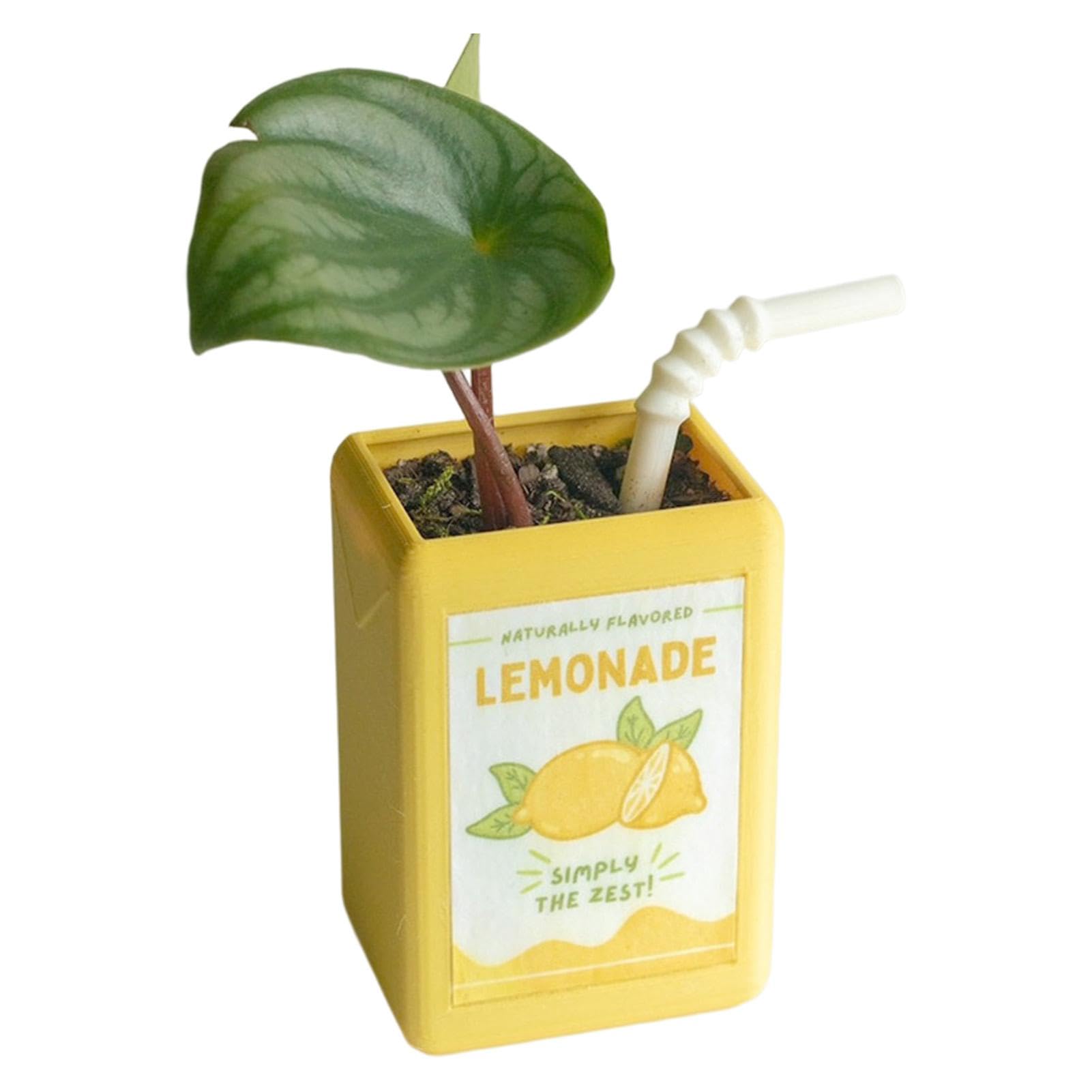 Juice Box Vase - Cute Planter Novel Design
