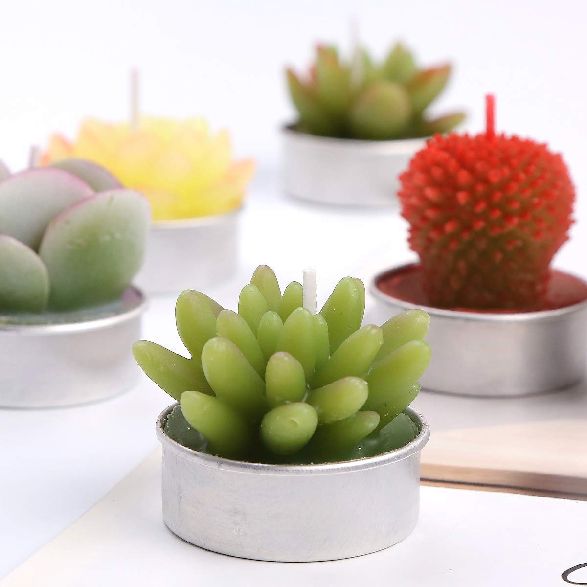 Succulent Cactus Tea Light Candles Unscented 6pcs Assorted Decor Gift Sets