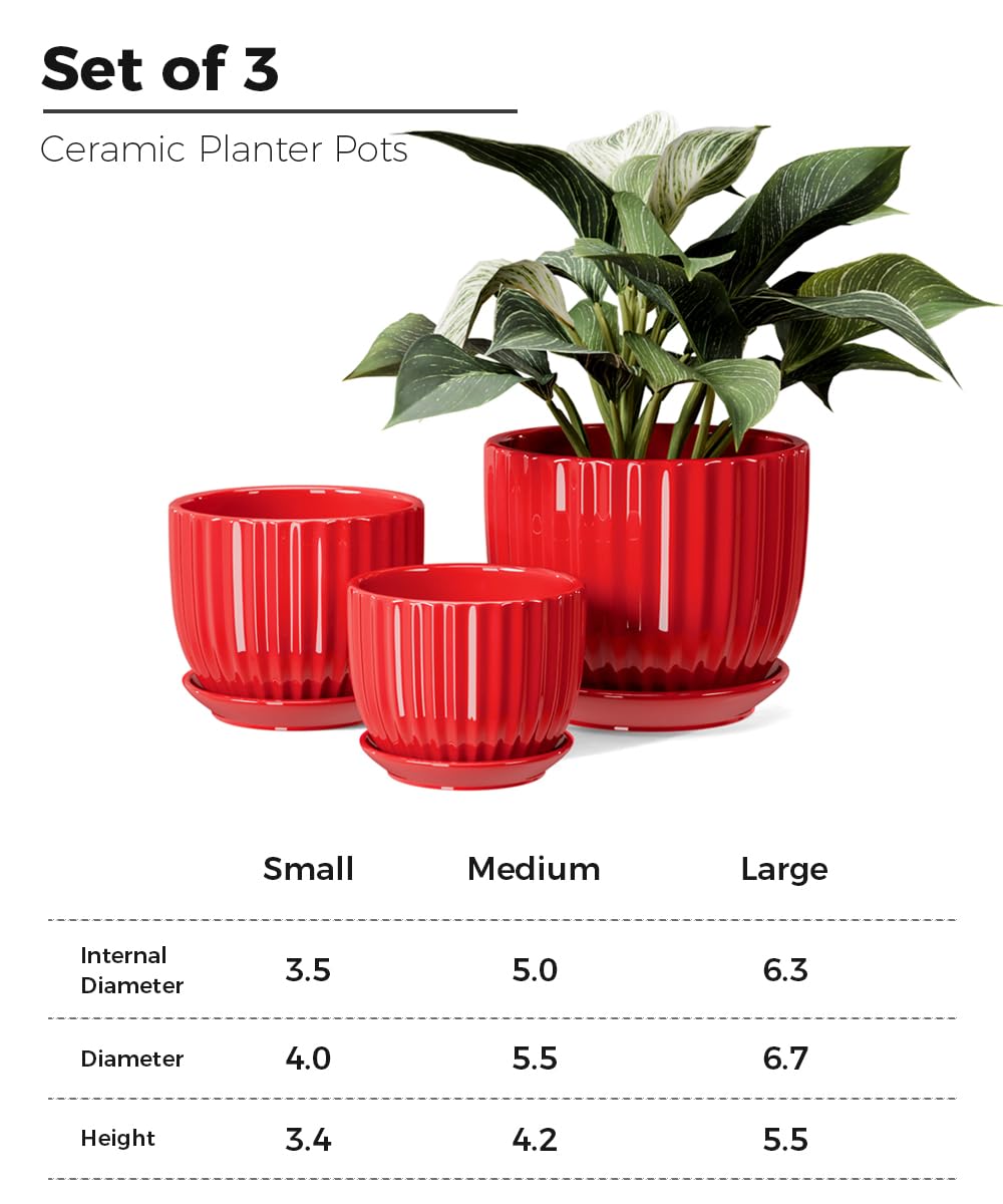 Ceramic Flower Pots, 4"+5"+6" Inch Small Glazed Succulent Planters with Drainage Hole, Modern Indoor Decorative Plant Pots Set of 3,Garden Pots with Saucer