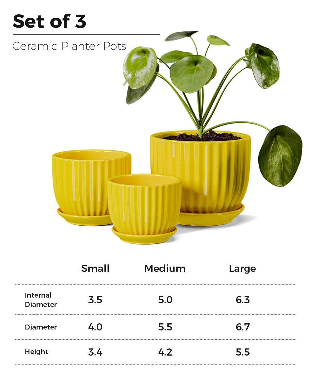 Ceramic Flower Pots, 4"+5"+6" Inch Small Glazed Succulent Planters with Drainage Hole, Modern Indoor Decorative Plant Pots Set of 3,Garden Pots with Saucer