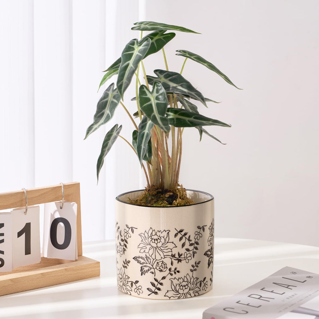 Ceramic Planters for Indoor Plants, Small Plant Pots with Drainage, Unique Decorative Cute Flower Pot Panthers Round Flowerpots 5 Inch