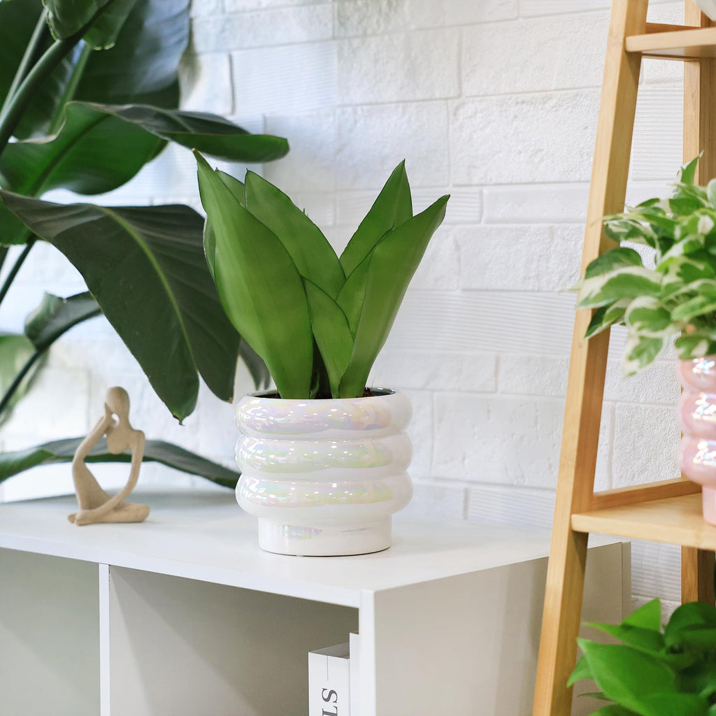 Ceramic Plant Pots for Indoor Plants, Rainbow Pearl Glaze Planter with Planters for Plants with Drainage Hole