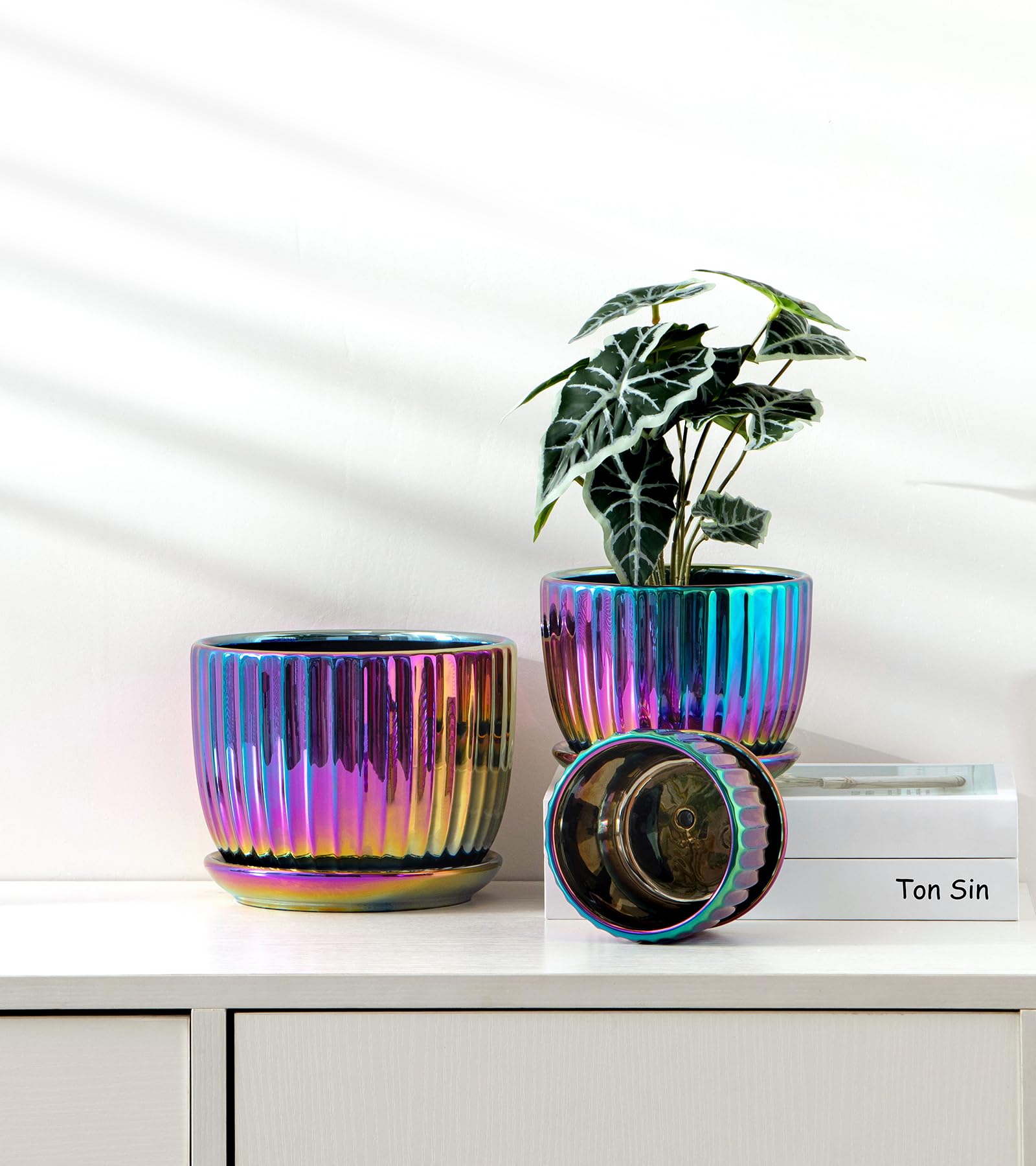 Ceramic Flower Pots, 4"+5"+6" Inch Small Glazed Succulent Planters with Drainage Hole, Modern Indoor Decorative Plant Pots Set of 3,Garden Pots with Saucer