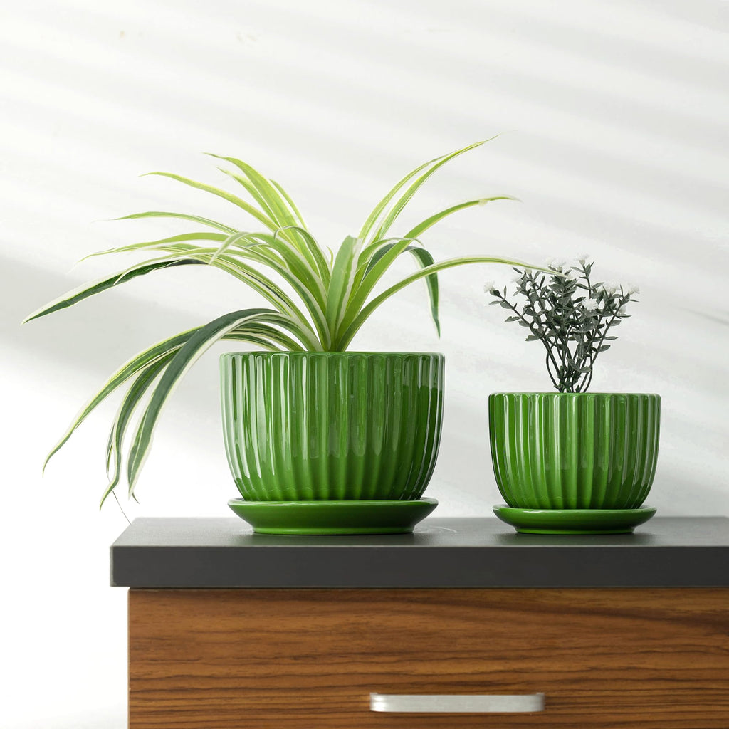 Ceramic Flower Pots, 4"+5"+6" Inch Small Glazed Succulent Planters with Drainage Hole, Modern Indoor Decorative Plant Pots Set of 3,Garden Pots with Saucer