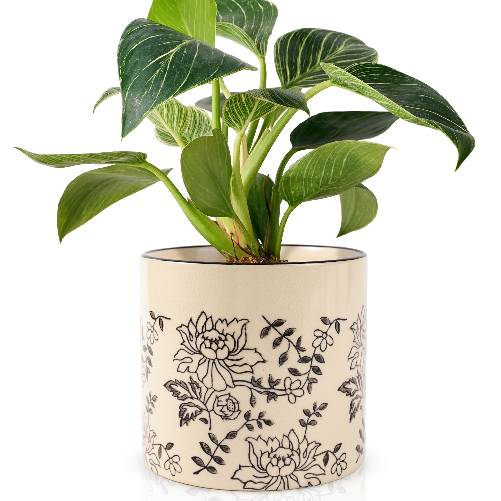 Ceramic Planters for Indoor Plants, Small Plant Pots with Drainage, Unique Decorative Cute Flower Pot Panthers Round Flowerpots 5 Inch