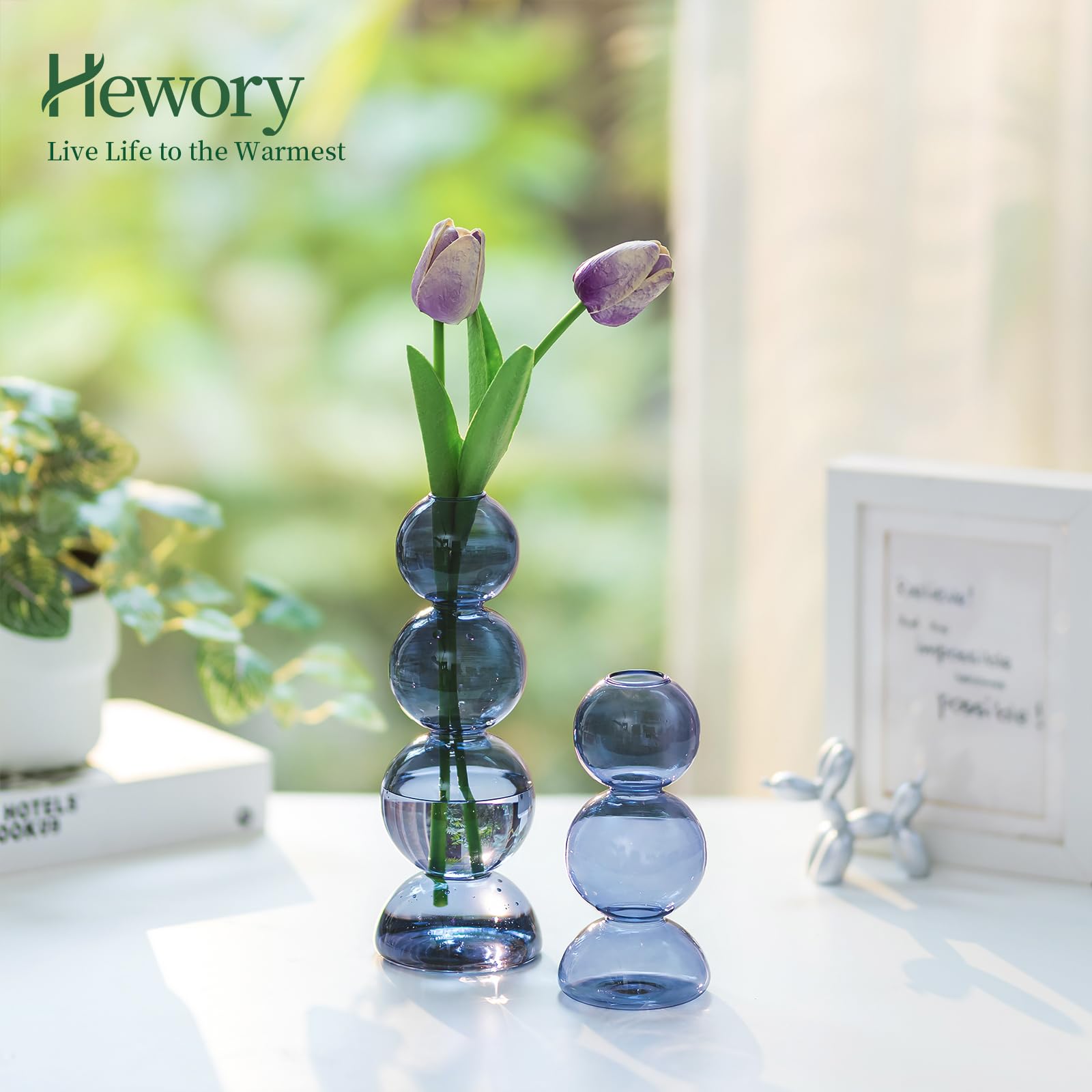 Glass Bubble Vases for Flowers