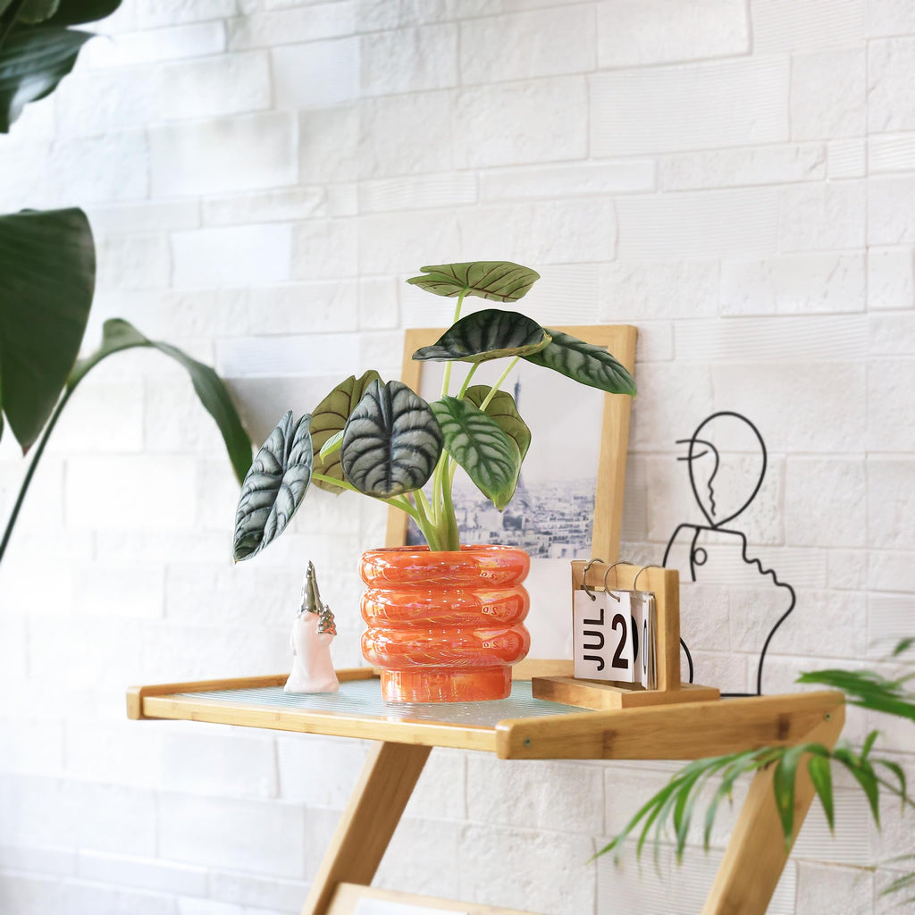 Ceramic Plant Pots for Indoor Plants, Rainbow Pearl Glaze Planter with Planters for Plants with Drainage Hole