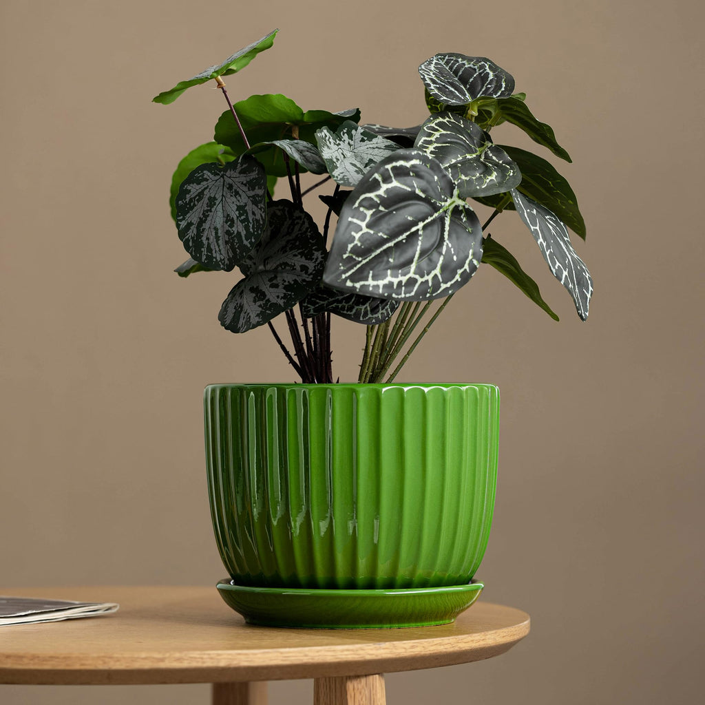 Ceramic Flower Pots, 4"+5"+6" Inch Small Glazed Succulent Planters with Drainage Hole, Modern Indoor Decorative Plant Pots Set of 3,Garden Pots with Saucer