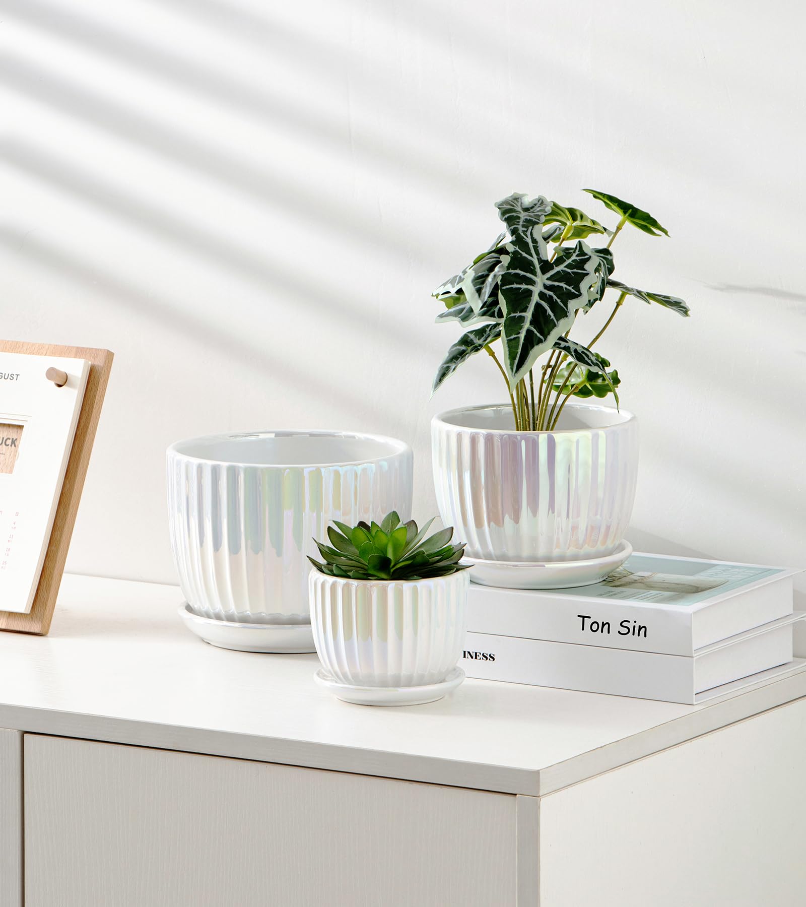 Ceramic Flower Pots, 4"+5"+6" Inch Small Glazed Succulent Planters with Drainage Hole, Modern Indoor Decorative Plant Pots Set of 3,Garden Pots with Saucer