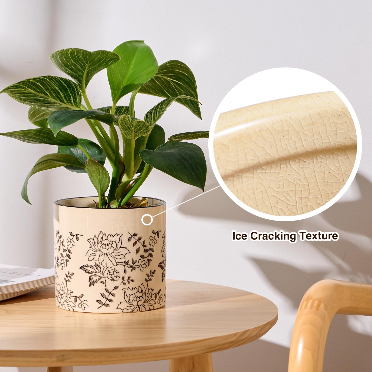 Ceramic Planters for Indoor Plants, Small Plant Pots with Drainage, Unique Decorative Cute Flower Pot Panthers Round Flowerpots 5 Inch