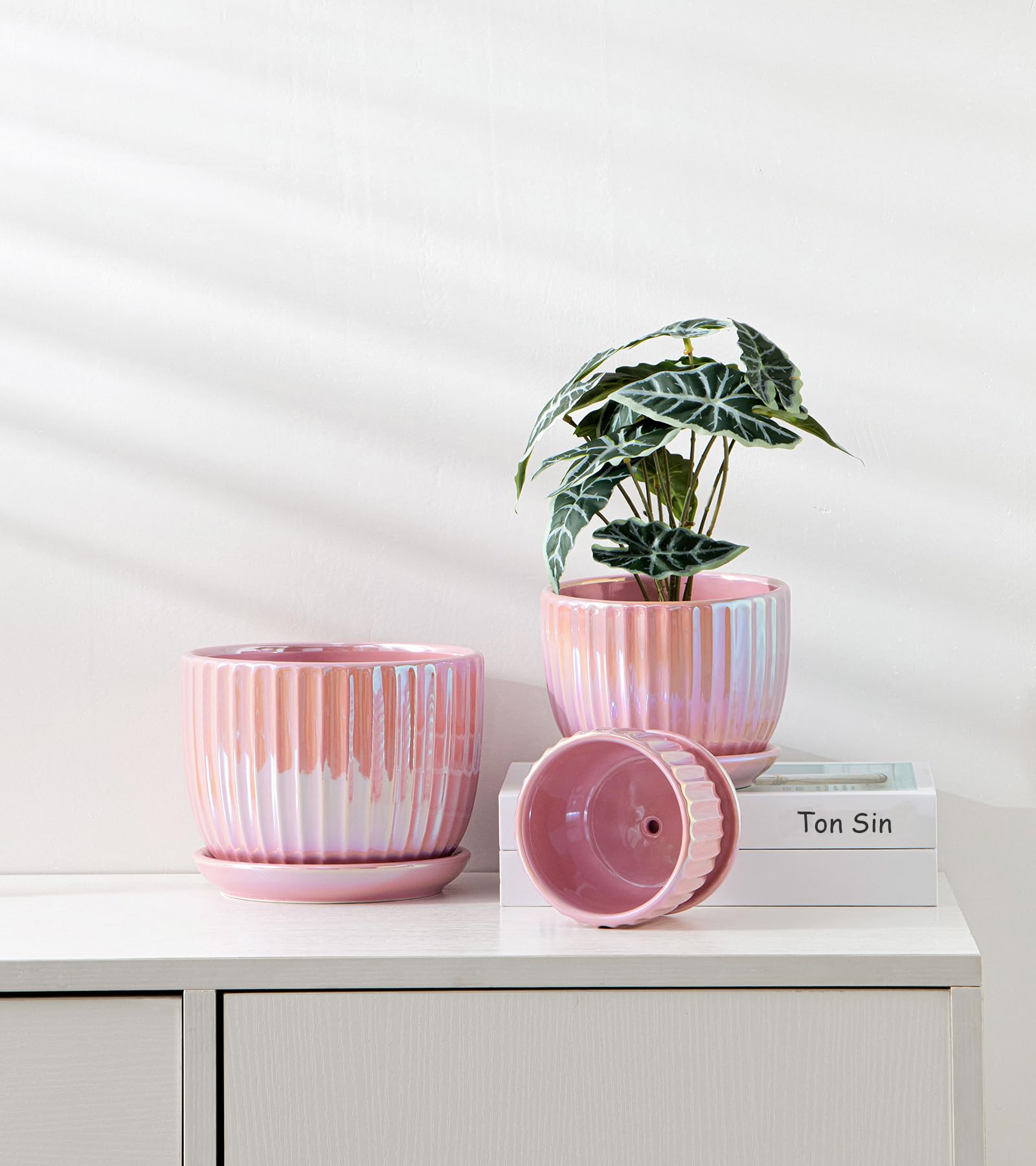 Ceramic Flower Pots, 4"+5"+6" Inch Small Glazed Succulent Planters with Drainage Hole, Modern Indoor Decorative Plant Pots Set of 3,Garden Pots with Saucer