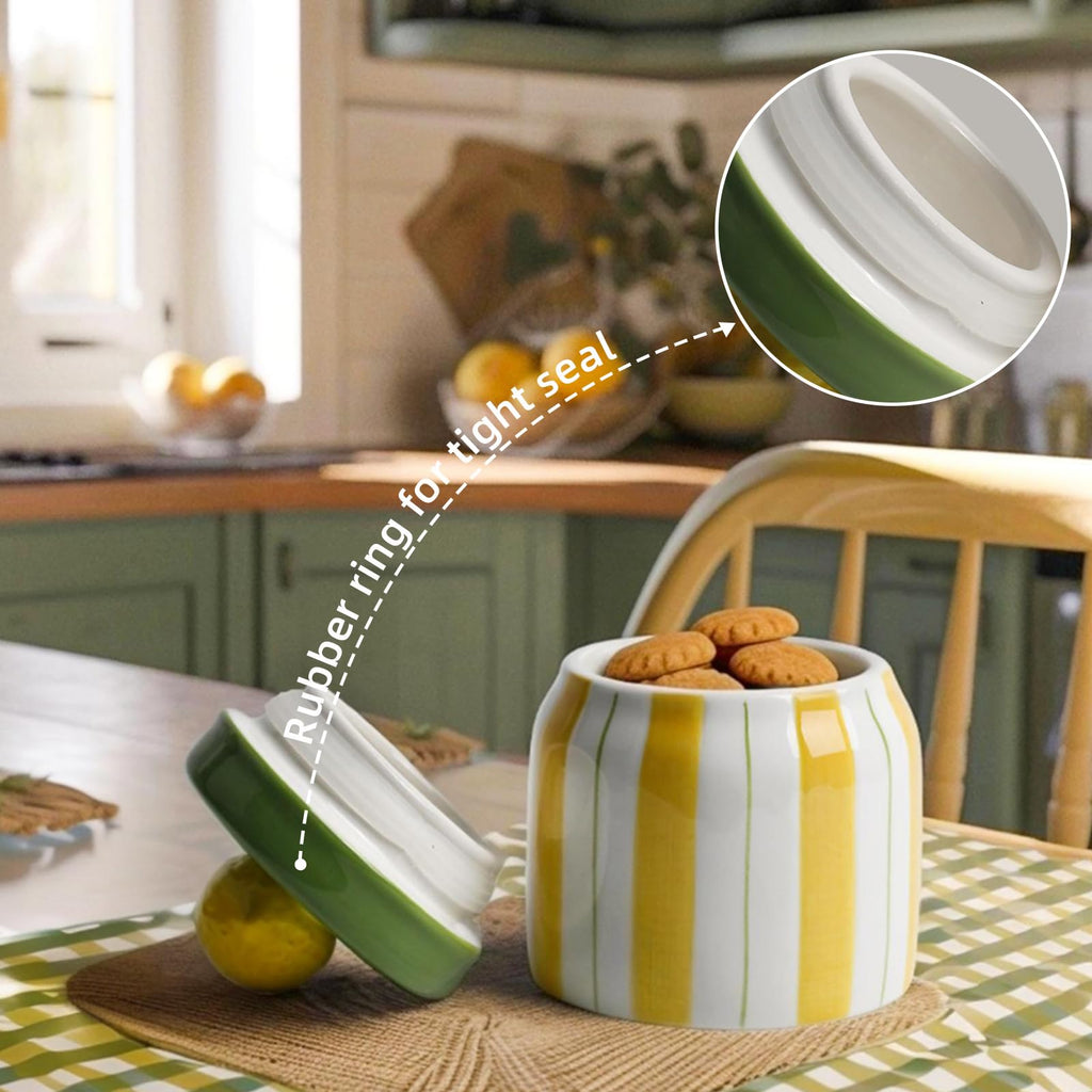 Cookie Jars with Lid Airtight, Hand Painted Ceramic
